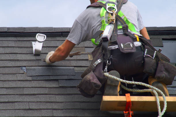 Best Green or Eco-Friendly Roofing Solutions  in Oak Brook, IL